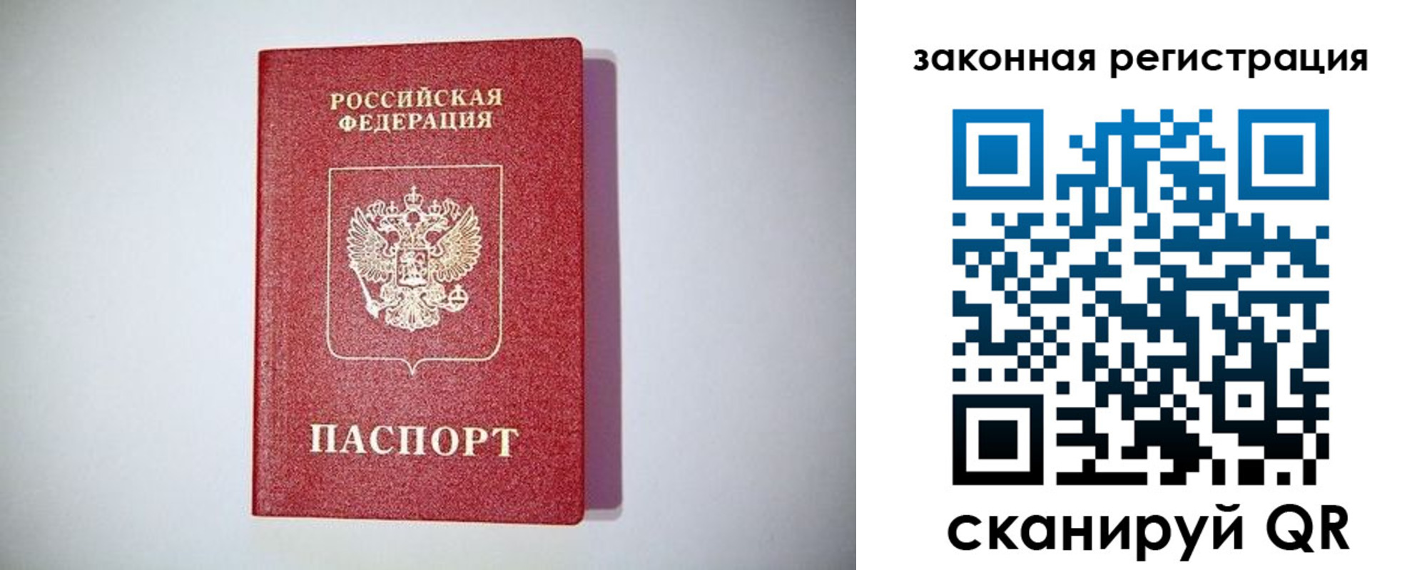 прописка в квартире в Димитровграде