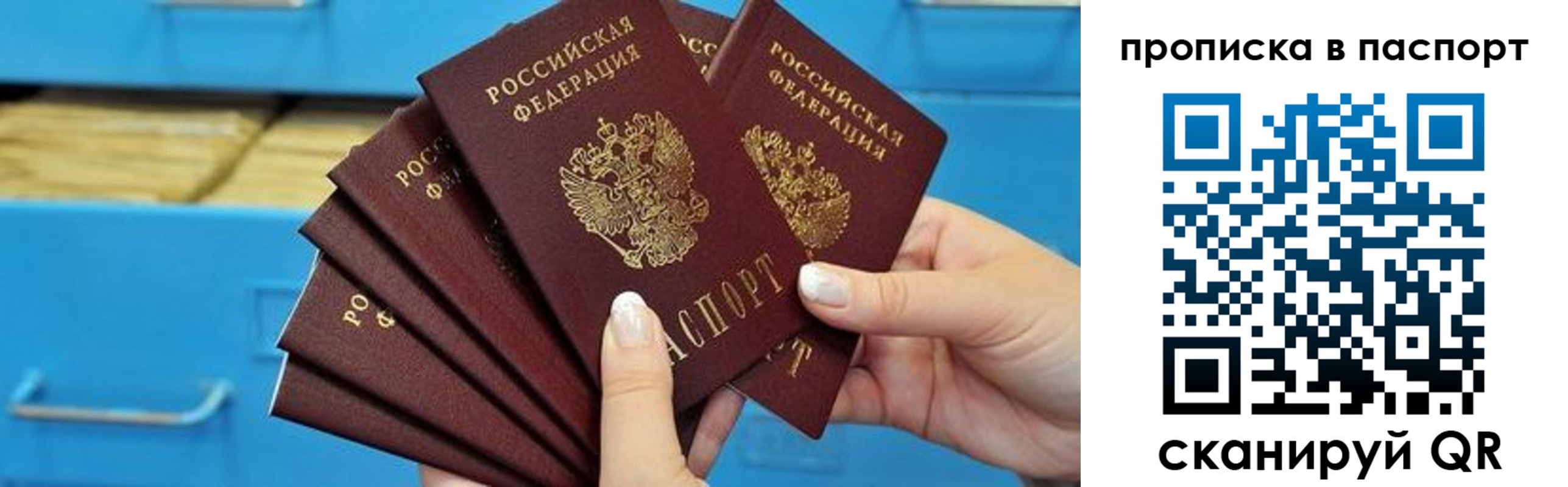 прописка в Димитровграде