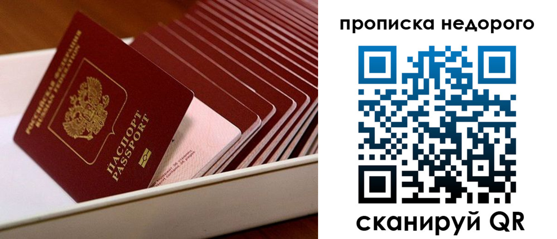 прописка паспорт в Димитровграде